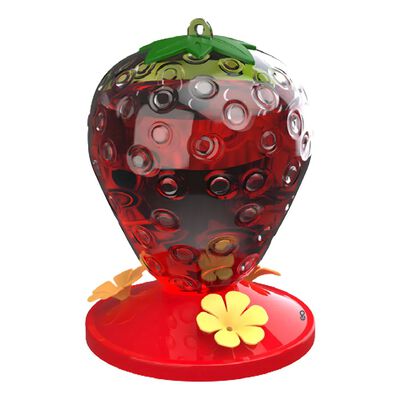 Bebedero Colibri 500 Ml Alimentador Colibries Colgante Color Transparente / Fresa