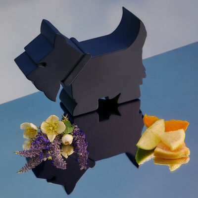 Estuche Ferrioni Terrier for Him Eau de Parfum 90 ml +  Eau de Parfum 10 ml + Deo 78 gr para Caballero