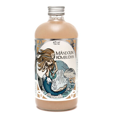 Kombucha Fresa Kiwi Mandolin 475Ml