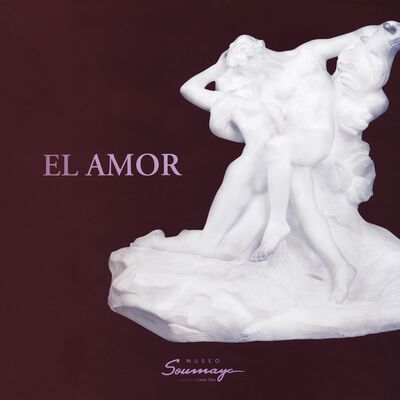 Amor hasta la locura