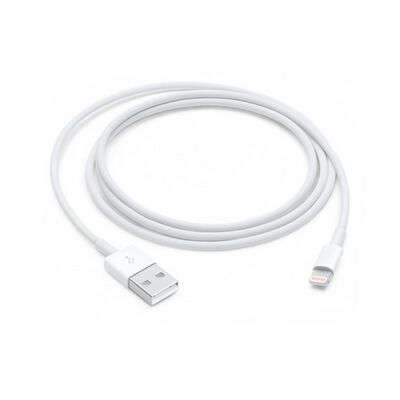 Cable Lightning Apple USB 1 m
