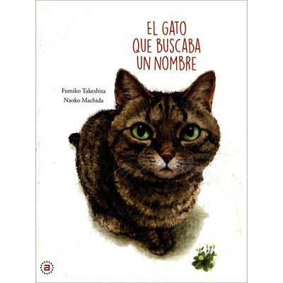 El gato que buscaba un nombre