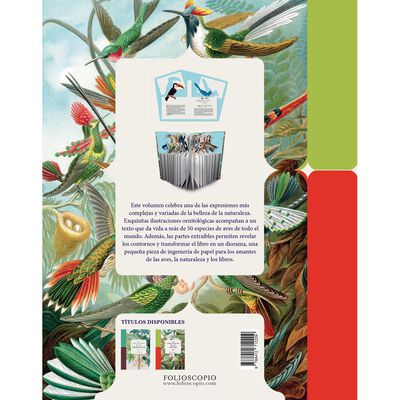El libro-Diorama de las aves