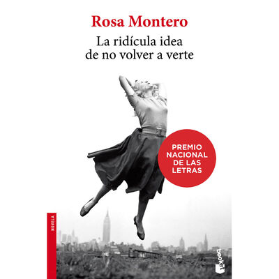 La rid&iacute;cula idea de no volver a verte
