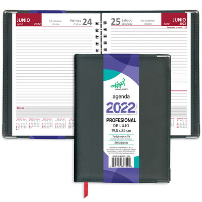 Agenda OFI-PRO profesional negra