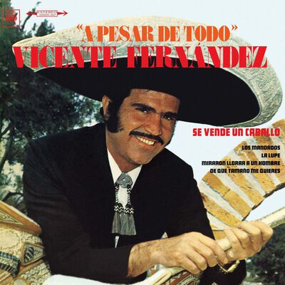 LP Vicente Fern&aacute;ndez - A pesar de todo