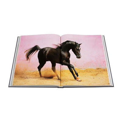 The arabian horses