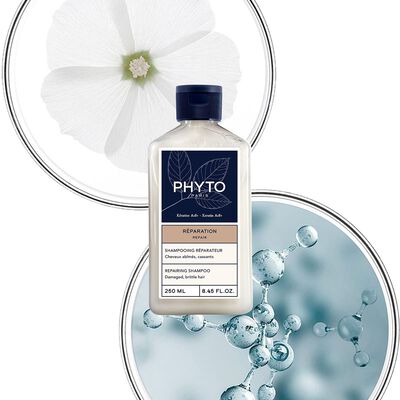 Phyto Repair Shampoo Reparador Cabello Da&ntilde;ado y Quebradizo